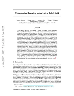 Unsupervised Learning under Latent Label Shift