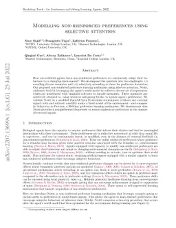 Modelling non-reinforced preferences using selective attention