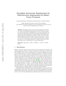 Ensembled Autoencoder Regularization for Multi-Structure Segmentation
  for Kidney Cancer Treatment
