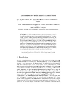 EfficientNet for Brain-Lesion classification