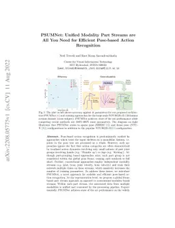 PSUMNet: Unified Modality Part Streams are All You Need for Efficient
  Pose-based Action Recognition