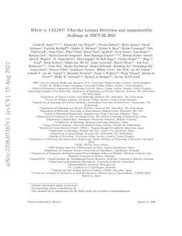 Where is VALDO? VAscular Lesions Detection and segmentatiOn challenge at
  MICCAI 2021