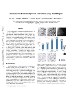 PatchDropout: Economizing Vision Transformers Using Patch Dropout