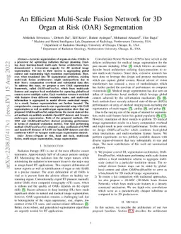 An Efficient Multi-Scale Fusion Network for 3D Organ at Risk (OAR)
  Segmentation