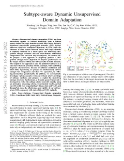 Subtype-Aware Dynamic Unsupervised Domain Adaptation