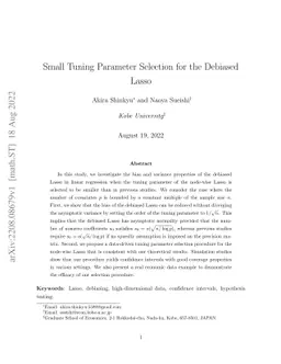 Small Tuning Parameter Selection for the Debiased Lasso