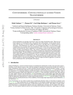 Conviformers: Convolutionally guided Vision Transformer