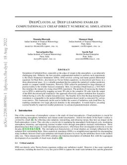 DeepClouds.ai: Deep learning enabled computationally cheap direct
  numerical simulations