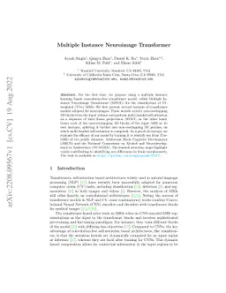 Multiple Instance Neuroimage Transformer