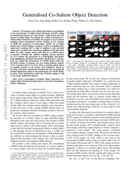 Generalised Co-Salient Object Detection