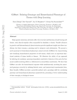 G2Φnet: Relating Genotype and Biomechanical Phenotype of Tissues
  with Deep Learning