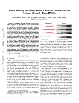 Planar Modeling and Sim-to-Real of a Tethered Multimaterial Soft Swimmer
  Driven by Peano-HASELs