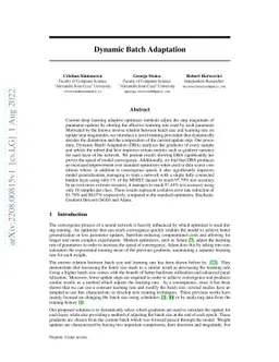 Dynamic Batch Adaptation