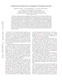 Gradient-descent quantum process tomography by learning Kraus operators