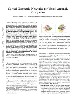 Curved Geometric Networks for Visual Anomaly Recognition