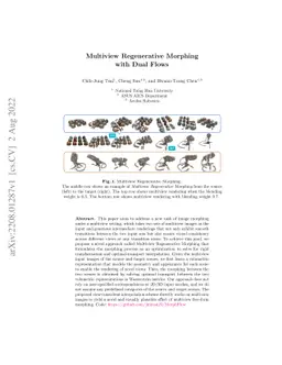 Multiview Regenerative Morphing with Dual Flows