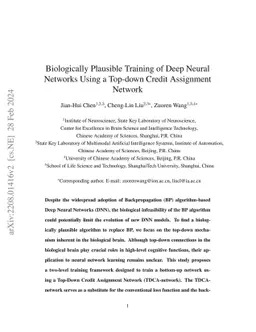 Biologically Plausible Training of Deep Neural Networks Using a Top-down
  Credit Assignment Network