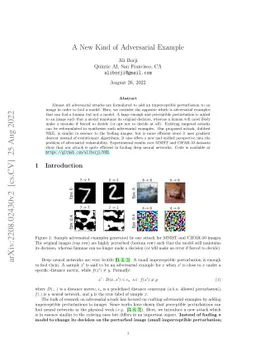 A New Kind of Adversarial Example