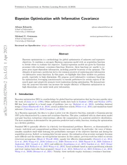 Bayesian Optimization with Informative Covariance