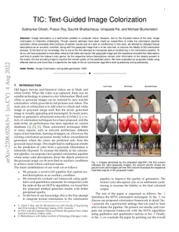 TIC: Text-Guided Image Colorization