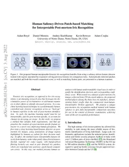 Human Saliency-Driven Patch-based Matching for Interpretable Post-mortem
  Iris Recognition