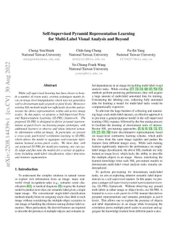 Self-Supervised Pyramid Representation Learning for Multi-Label Visual
  Analysis and Beyond