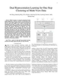 Dual Representation Learning for One-Step Clustering of Multi-View Data
