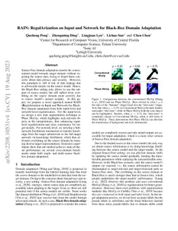 RAIN: RegulArization on Input and Network for Black-Box Domain
  Adaptation