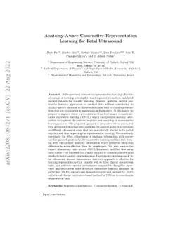 Anatomy-Aware Contrastive Representation Learning for Fetal Ultrasound