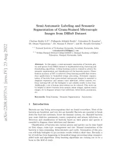 Semi-Automatic Labeling and Semantic Segmentation of Gram-Stained
  Microscopic Images from DIBaS Dataset