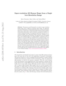 Super-resolution 3D Human Shape from a Single Low-Resolution Image