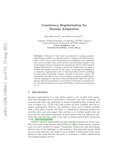 Consistency Regularization for Domain Adaptation