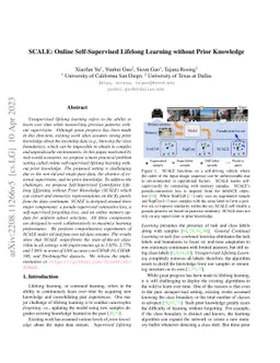 SCALE: Online Self-Supervised Lifelong Learning without Prior Knowledge