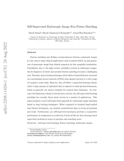 Self-Supervised Endoscopic Image Key-Points Matching
