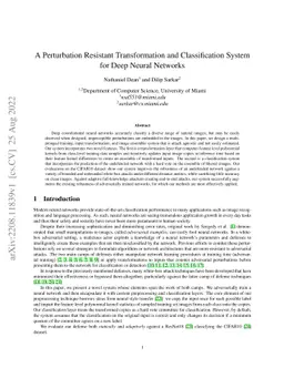A Perturbation Resistant Transformation and Classification System for
  Deep Neural Networks
