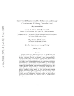 Supervised Dimensionality Reduction and Image Classification Utilizing
  Convolutional Autoencoders