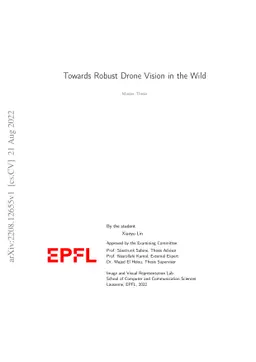 Towards Robust Drone Vision in the Wild