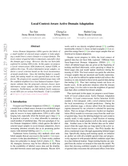 Local Context-Aware Active Domain Adaptation