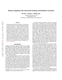 Domain Adaptation with Adversarial Training on Penultimate Activations