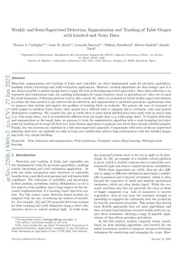 Weakly and Semi-Supervised Detection, Segmentation and Tracking of Table
  Grapes with Limited and Noisy Data