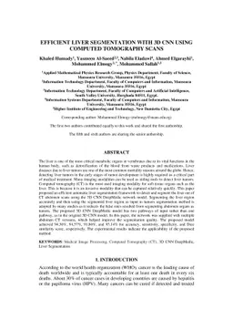 Efficient liver segmentation with 3D CNN using computed tomography scans