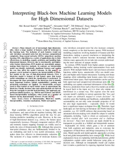 Interpreting Black-box Machine Learning Models for High Dimensional
  Datasets