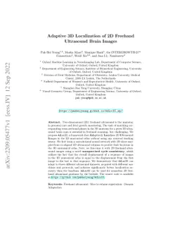 Adaptive 3D Localization of 2D Freehand Ultrasound Brain Images