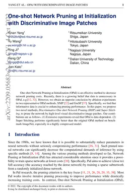 One-shot Network Pruning at Initialization with Discriminative Image
  Patches