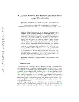 A Capsule Network for Hierarchical Multi-Label Image Classification