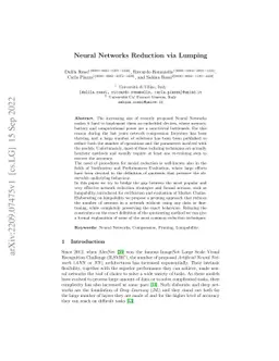 Neural Networks Reduction via Lumping