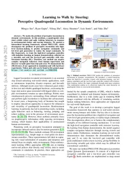Learning to Walk by Steering: Perceptive Quadrupedal Locomotion in
  Dynamic Environments