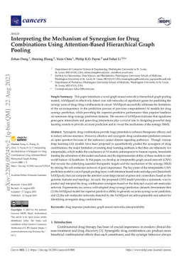 Interpreting the Mechanism of Synergism for Drug Combinations Using
  Attention-Based Hierarchical Graph Pooling
