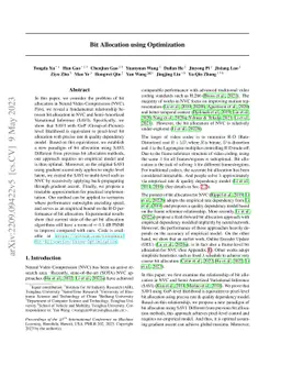 Bit Allocation using Optimization