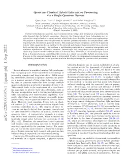 Quantum-Classical Hybrid Information Processing via a Single Quantum
  System